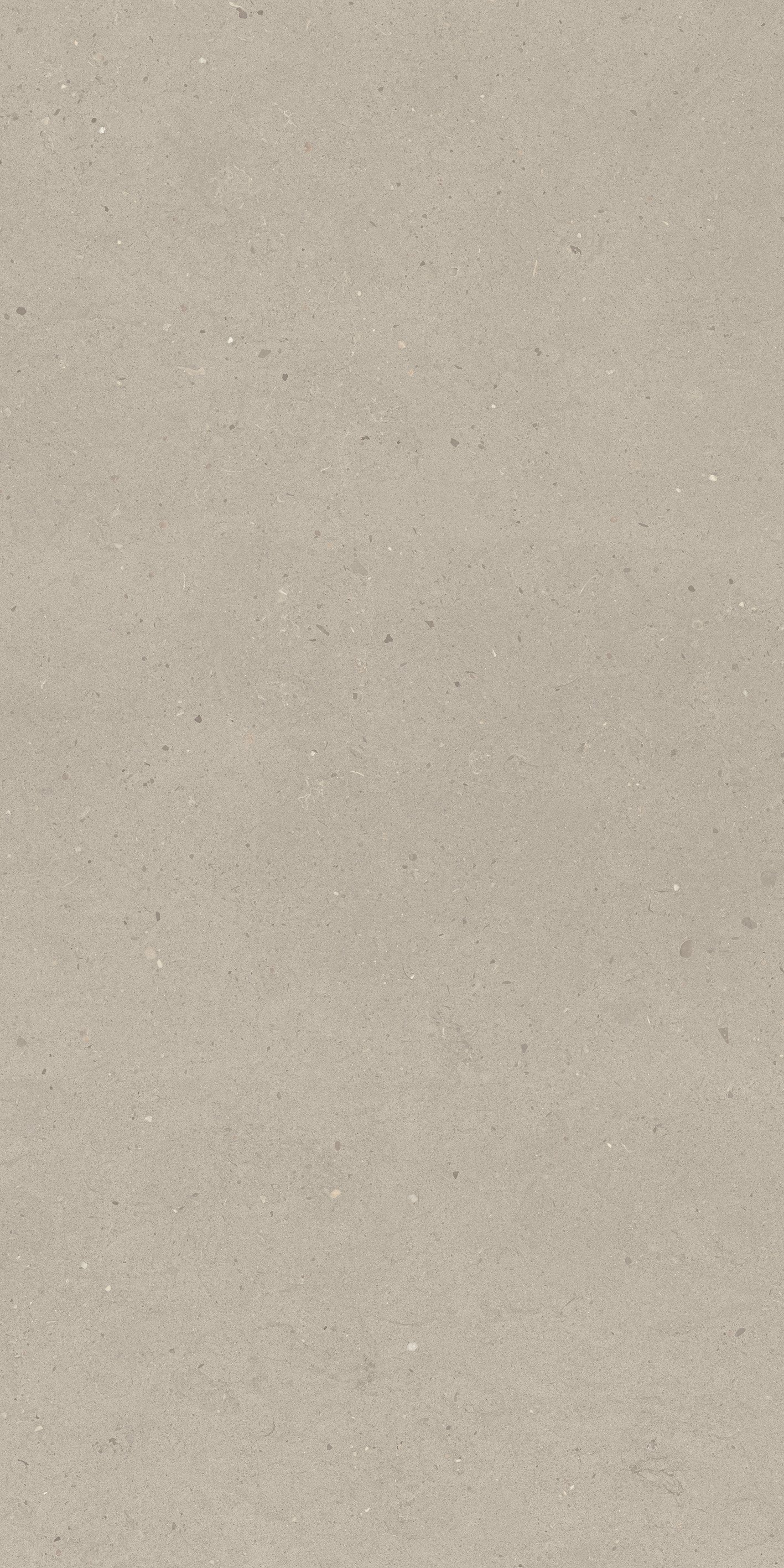 image_not_found
